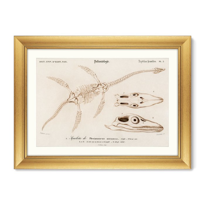 Репродукция картины Plesiosaurus, 1849г. - купить Картины по цене 16299.0