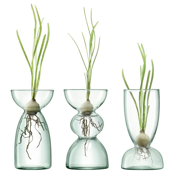Набор из трех ваз Canopy прозрачного цвета - лучшие Вазы  в INMYROOM