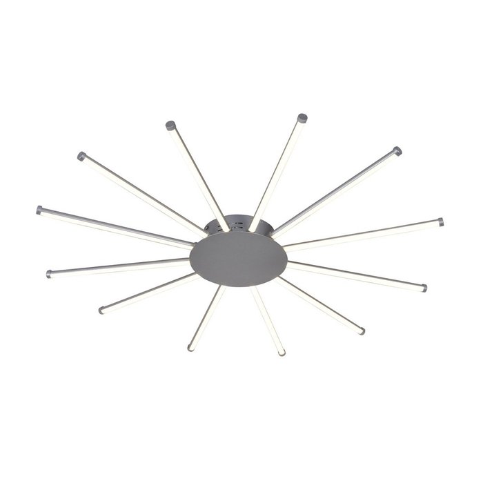Потолочный светодиодный светильник Aster серебряного цвета 