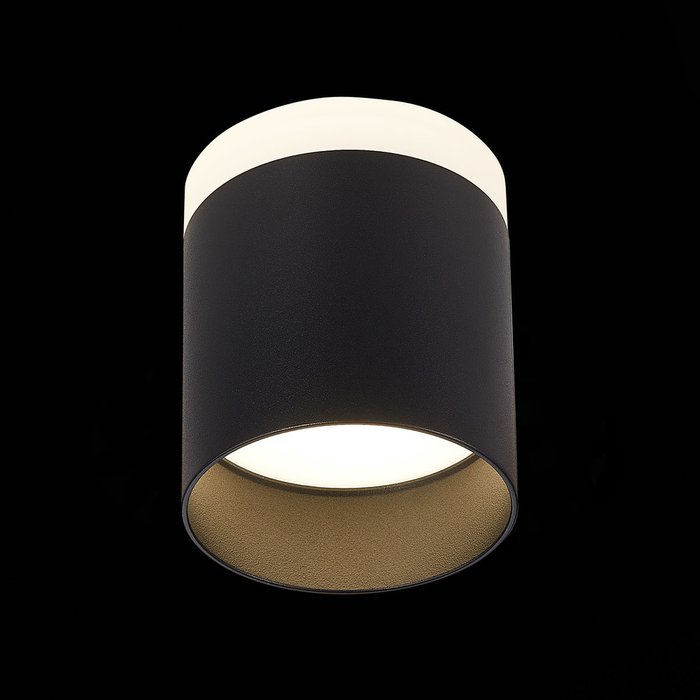 Светильник потолочный Panaggio черного цвета - лучшие Потолочные светильники в INMYROOM