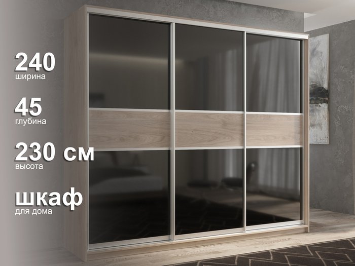 Шкаф-купе Кааппи-12 240 М цвета Кастелло серый  - лучшие Шкафы-купе в INMYROOM
