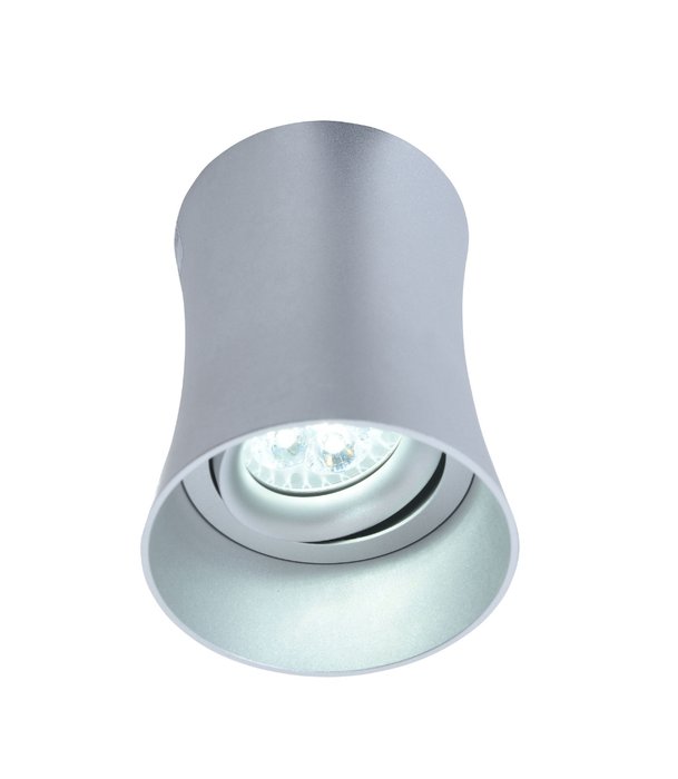 Накладной светильник Malton серебряного цвета - лучшие Потолочные светильники в INMYROOM