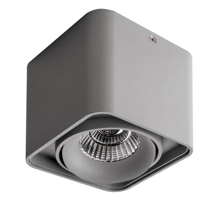 Потолочный светодиодный светильник Monocco серого цвета