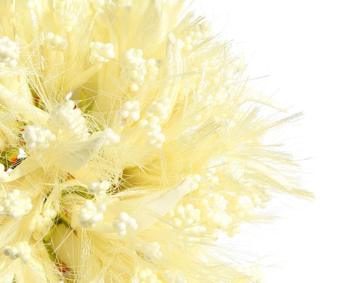 Искусственный цветок желтого цвета - купить Декоративные цветы по цене 1100.0