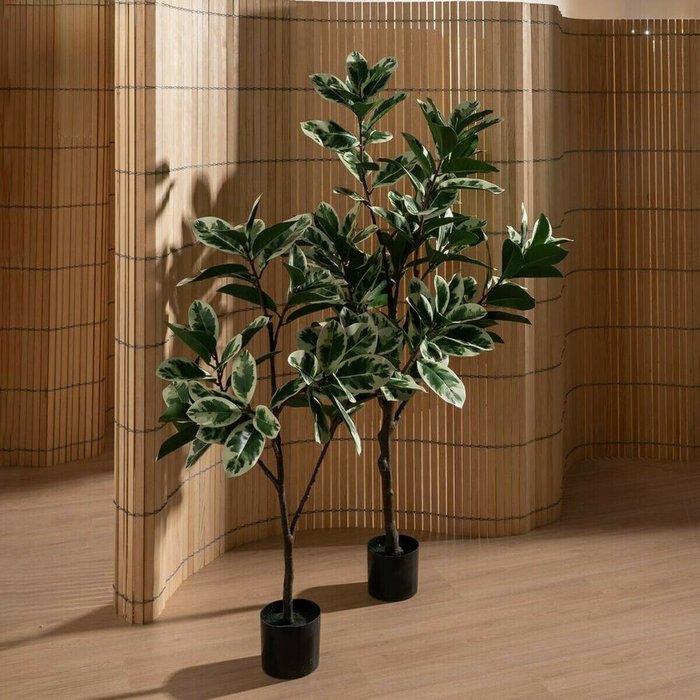 Декоративное растение Резина 70 x 70 x 150 cm - лучшие Декоративные цветы в INMYROOM