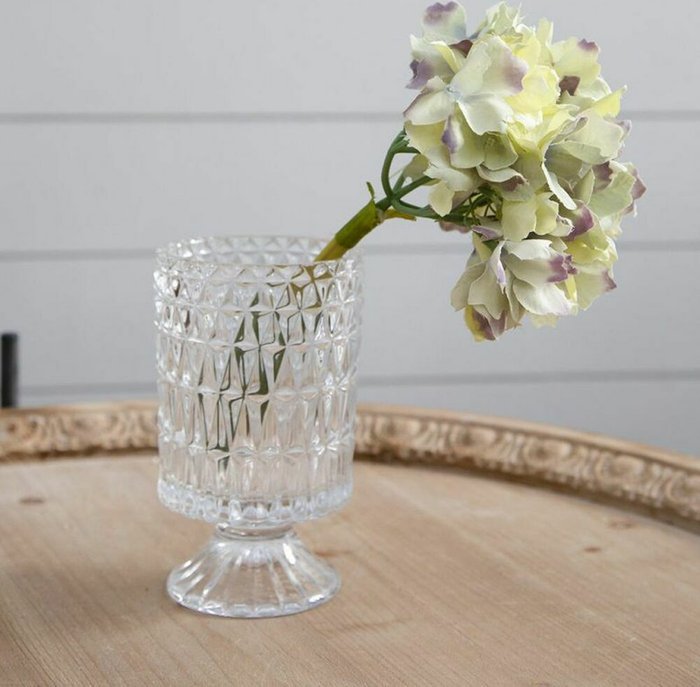 Растение декоративное Гортензия бело-голубого цвета - купить Декоративные цветы по цене 800.0