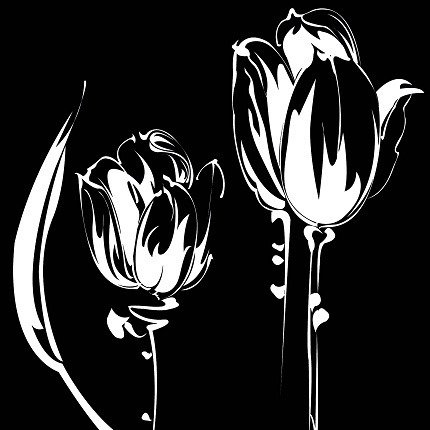 Декоративная картина на холсте "Силуэт тюльпана" - лучшие Принты в INMYROOM