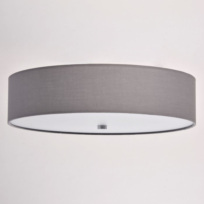  Потолочный светодиодный светильник Дафна серого цвета - лучшие Потолочные светильники в INMYROOM