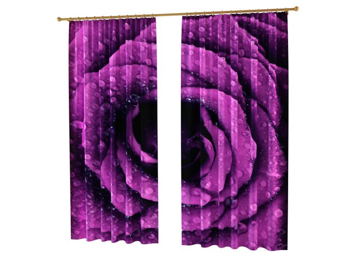 Фотошторы для гостиной: Фиолетовая роза