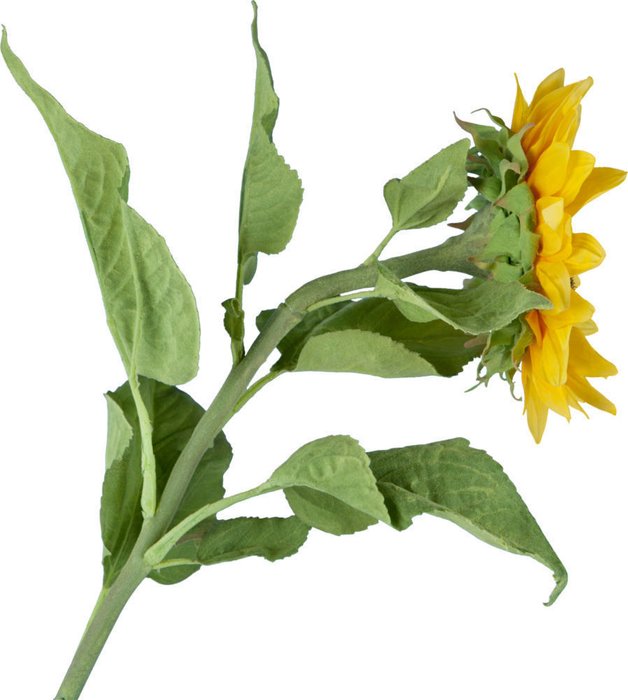 Декор Sunflower - лучшие Декоративные цветы в INMYROOM