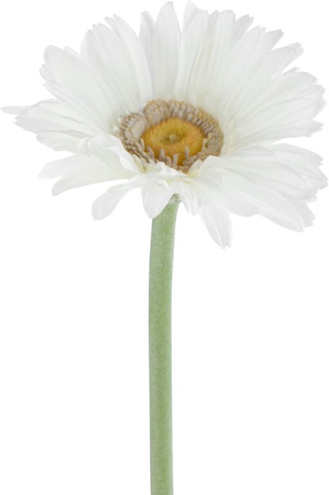 Декор Daisy   - купить Декоративные цветы по цене 468.0