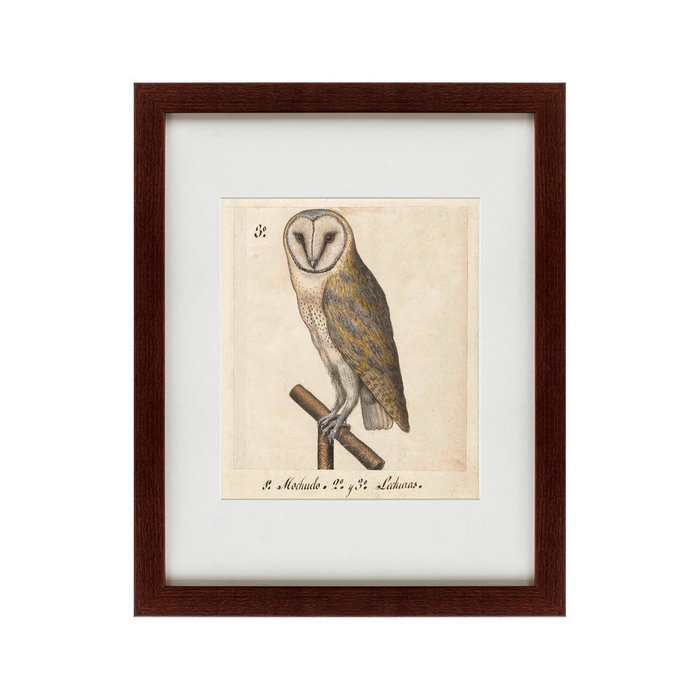 Картина One owl 1560 г.  - купить Картины по цене 4990.0
