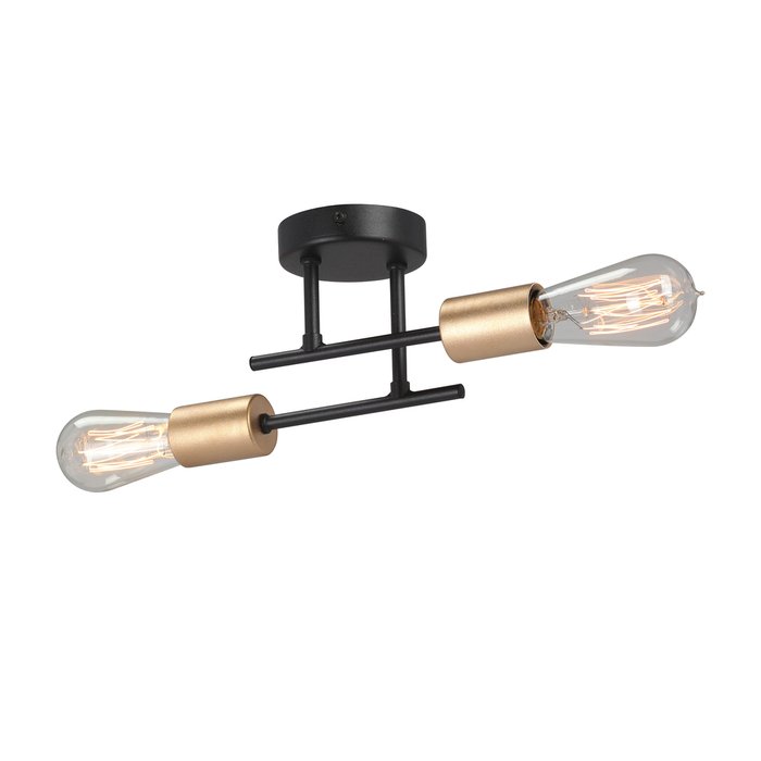 Потолочный светильник V3006-1/2PL (металл, цвет черный) - купить Потолочные светильники по цене 2909.0