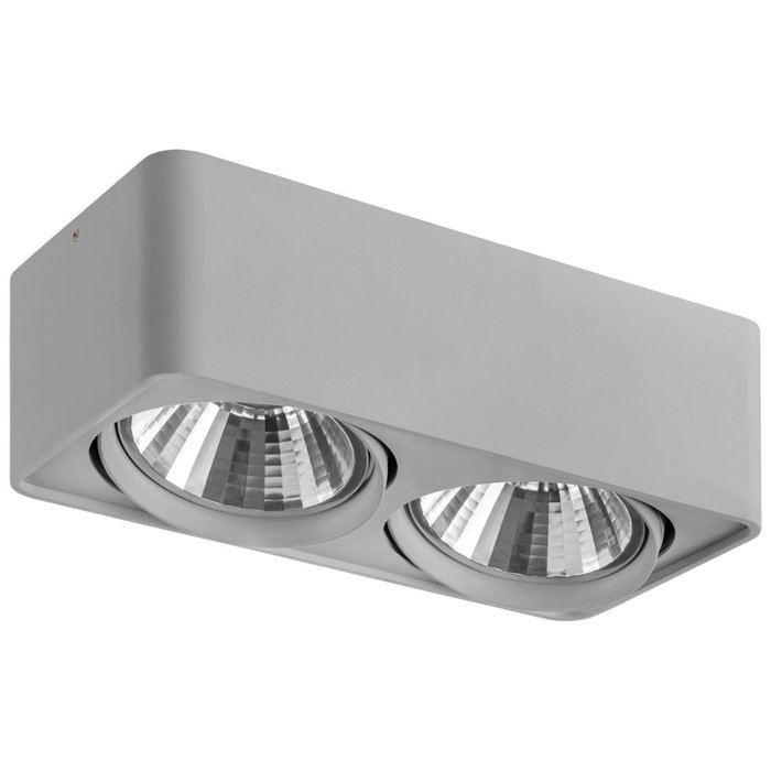 Потолочный светильник Monocco серого цвета - лучшие Потолочные светильники в INMYROOM