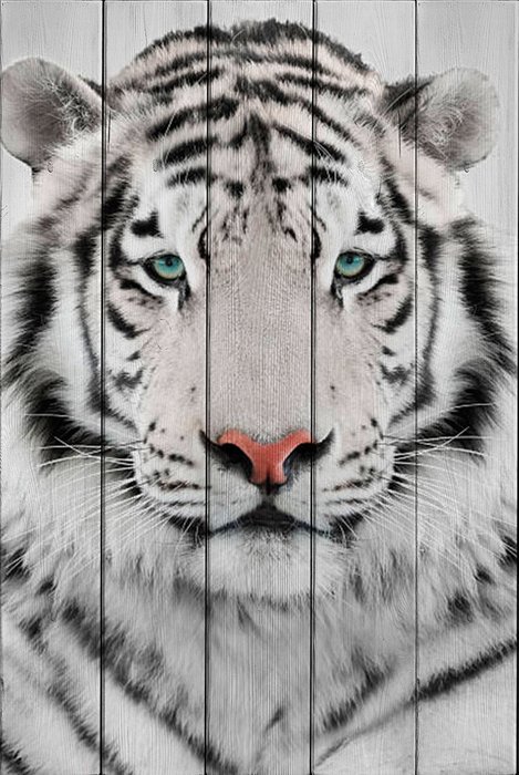 Картина на дереве Белый тигр 120х180