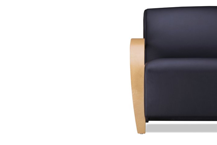 Кресло Паладин Комфорт черного цвета - лучшие Интерьерные кресла в INMYROOM