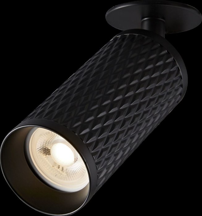 Потолочный светильник Alfa черного цвета - лучшие Потолочные светильники в INMYROOM