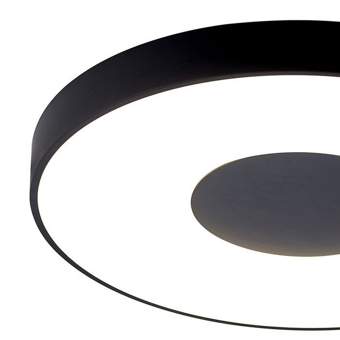 Светильник потолочный Coin черного цвета - купить Потолочные светильники по цене 40763.0
