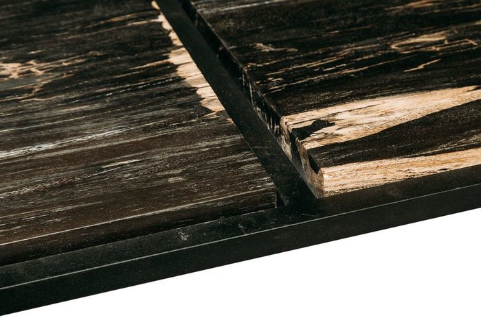 Журнальный стол Таланго из окаменелого дерева 22 - лучшие Журнальные столики в INMYROOM