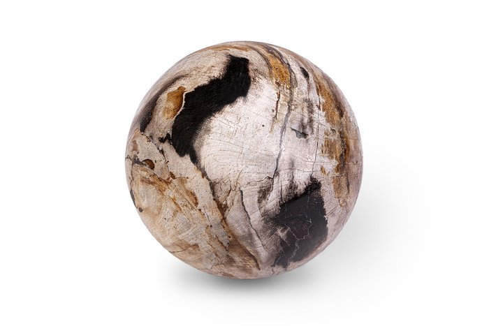 Декоративный шар из окаменелого дерева 383138