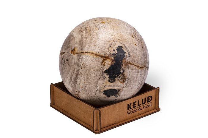 Декоративный шар из окаменелого дерева 383155 - купить Фигуры и статуэтки по цене 5150.0