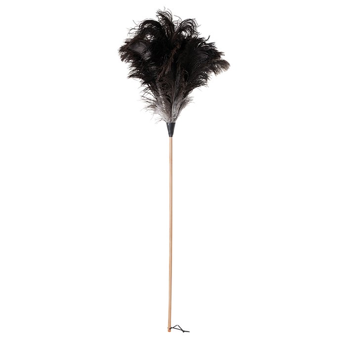 Щётка для пыли из страусиного пера на деревянной ручке