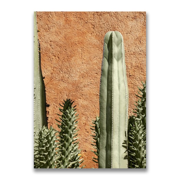 Картина на холсте Кактусы 50х70 см