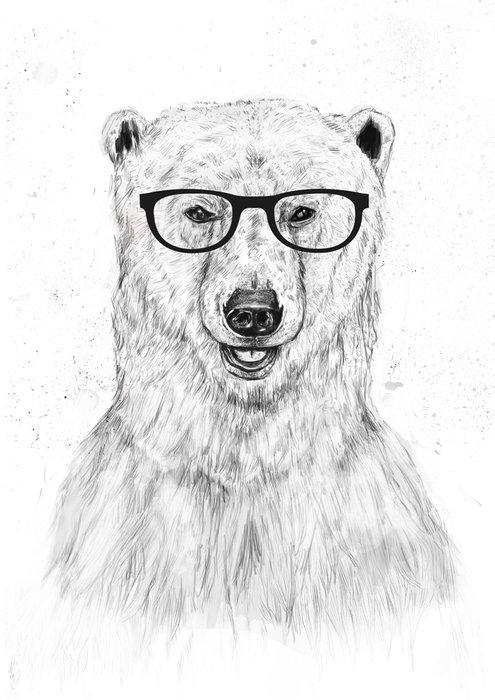 Принт «Geek Bear» by Balazs Solti