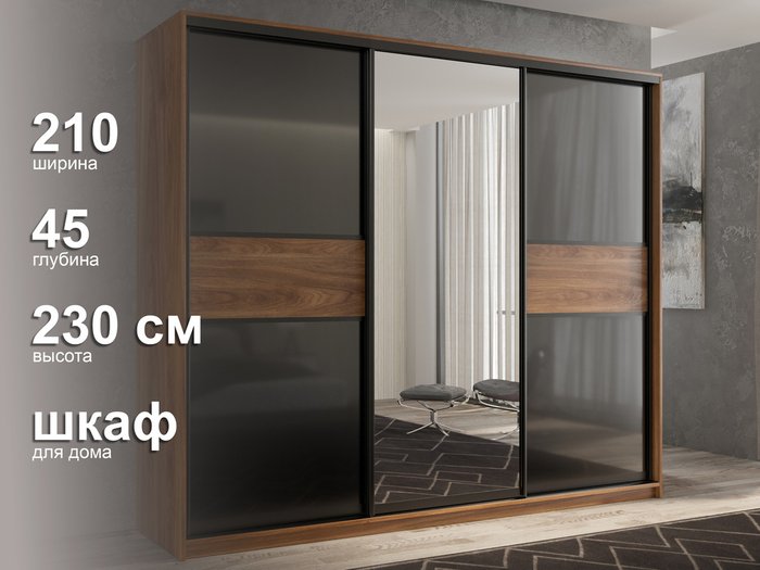 Шкаф-купе Кааппи-9 210 М цвета Кастелло бренди  - лучшие Шкафы-купе в INMYROOM