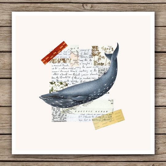 Постер 'Whale' - купить Принты по цене 1395 Постер 'Whale' - купить Принты по цене 1395