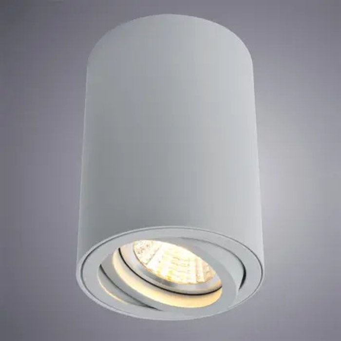 Точечный накладной светильник Arte Lamp SENTRY A1560PL-1GY - купить Накладные споты по цене 280