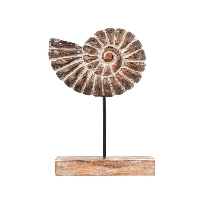 Декор ракушка Амонит коричневого цвета - купить Фигуры и статуэтки по цене 5900.0