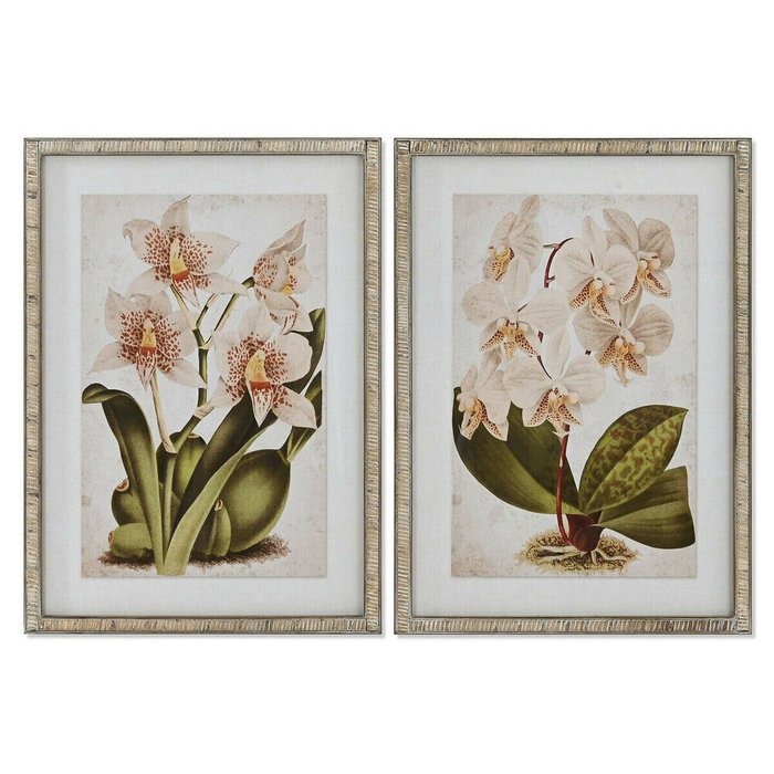 Картина Тропический Орхидея 50 x 2,5 x 70 cm (2 штук)