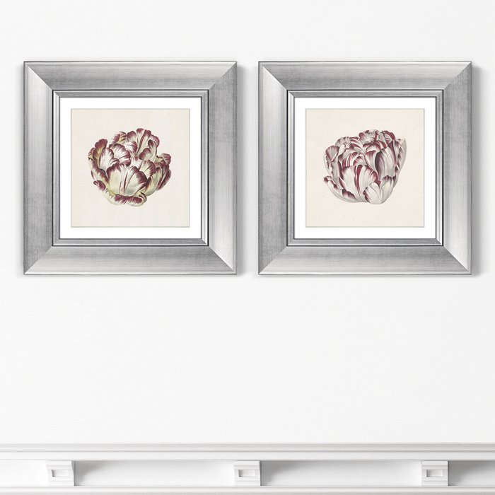 Набор из двух картин Tulp №2 1815 г. 