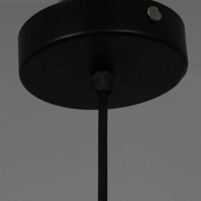 Подвесной светильник 70115-3.4-01 BK (металл, цвет черный) - лучшие Подвесные светильники в INMYROOM