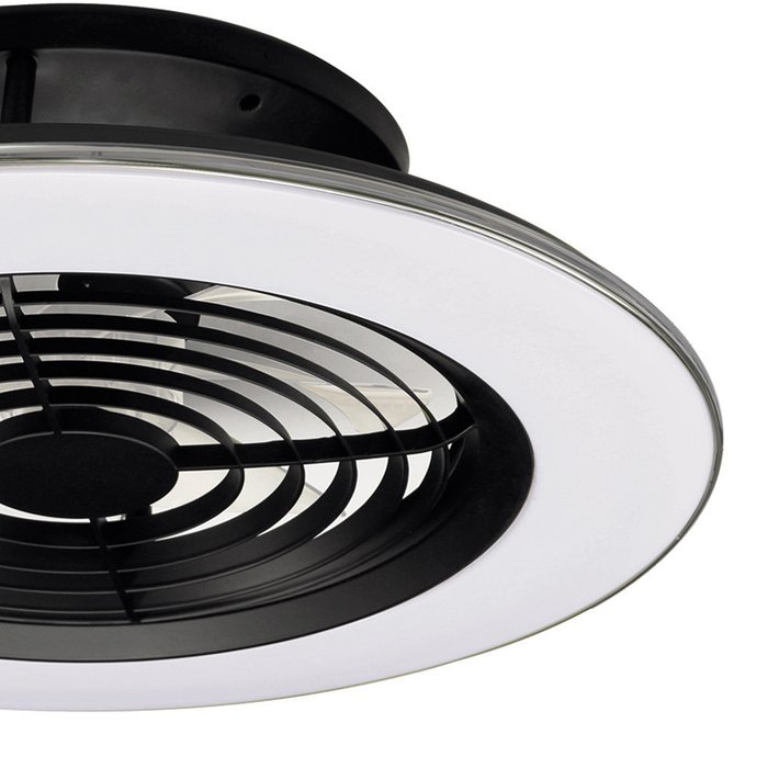 Светильник потолочный Alisio черного цвета - лучшие Потолочные светильники в INMYROOM