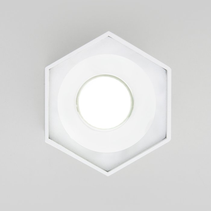 Накладной светодиодный светильник 25037/LED - купить Потолочные светильники по цене 1310.0