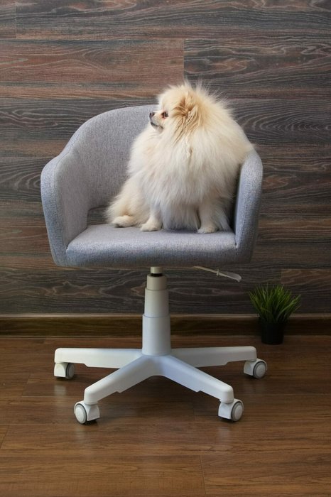 Кресло Бабби серо-белого цвета - лучшие Офисные кресла в INMYROOM