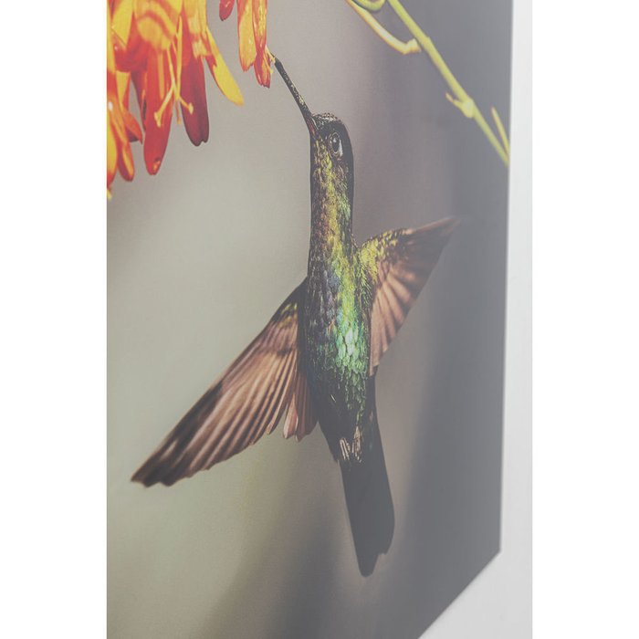 Картина Colibri 70х90 со стеклом - лучшие Принты в INMYROOM Картина Colibri 70х90 со стеклом - лучшие Принты в INMYROOM