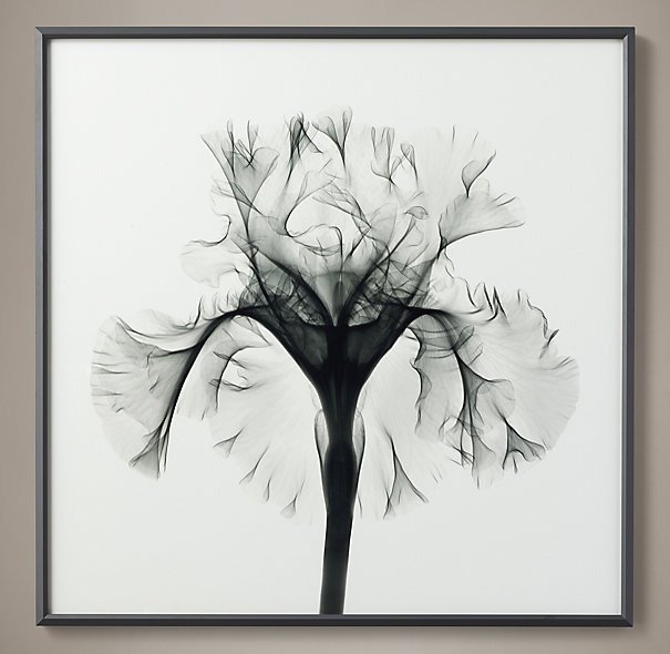 Фотография Nick Veasey X-ray iris silverado Фотография Nick Veasey X-ray iris silverado