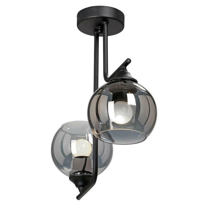 Потолочный светильник черно-серого цвета - лучшие Потолочные светильники в INMYROOM