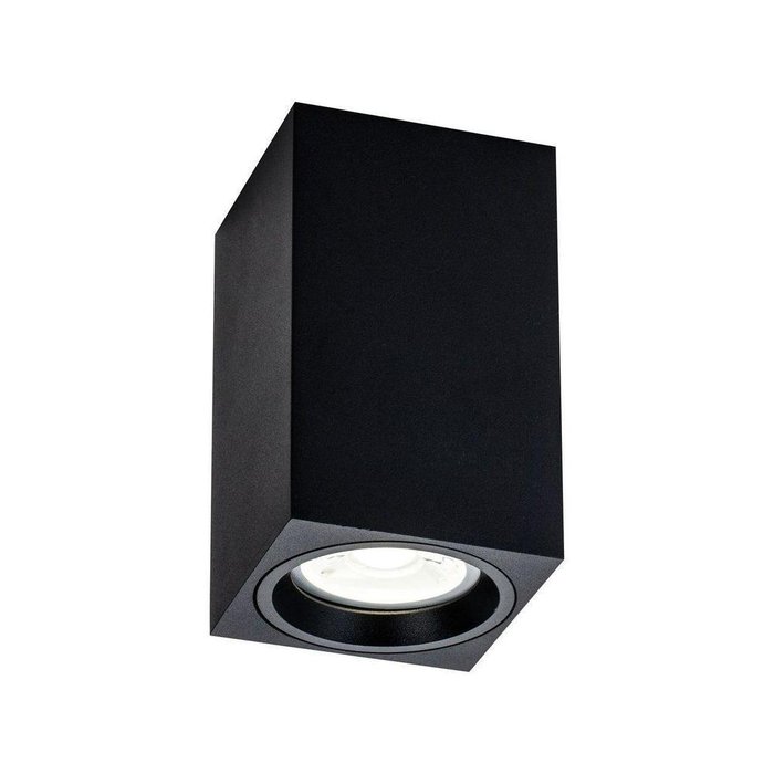 Потолочный светильник Alfa черного цвета - купить Потолочные светильники по цене 1450.0