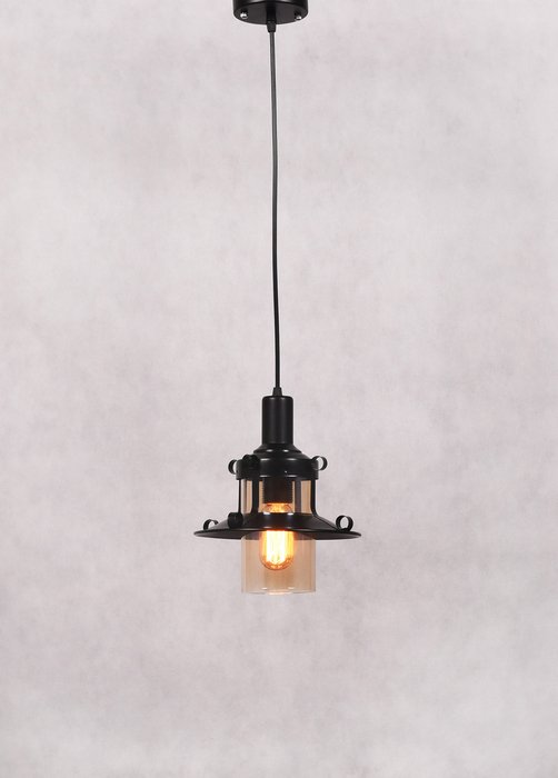 Подвесной светильник Capri черного цвета - лучшие Подвесные светильники в INMYROOM