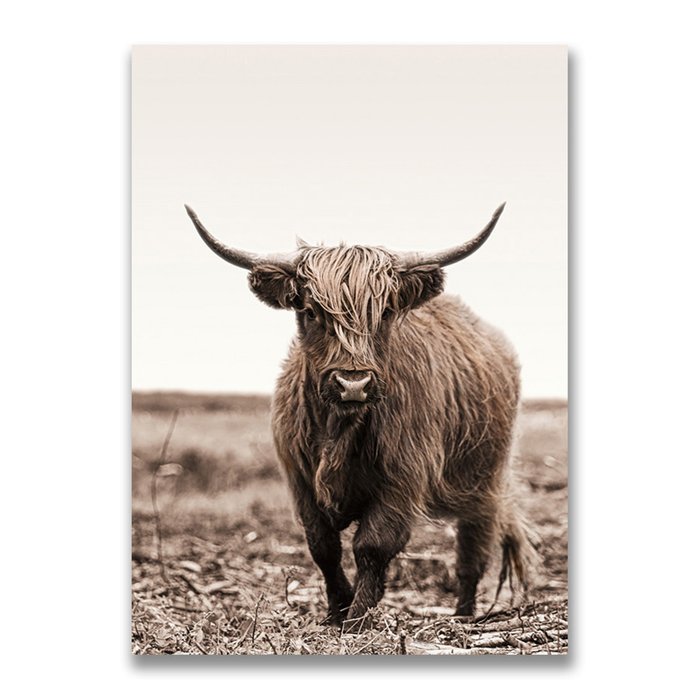 Картина на холсте Шотландский бык №3 50х70 см
