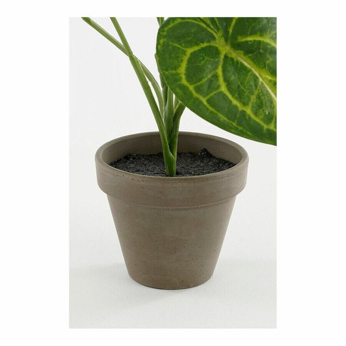Декоративное растение Mica Decorations Caladium ? 21 x 28 cm Искусственная - лучшие Декоративные цветы в INMYROOM