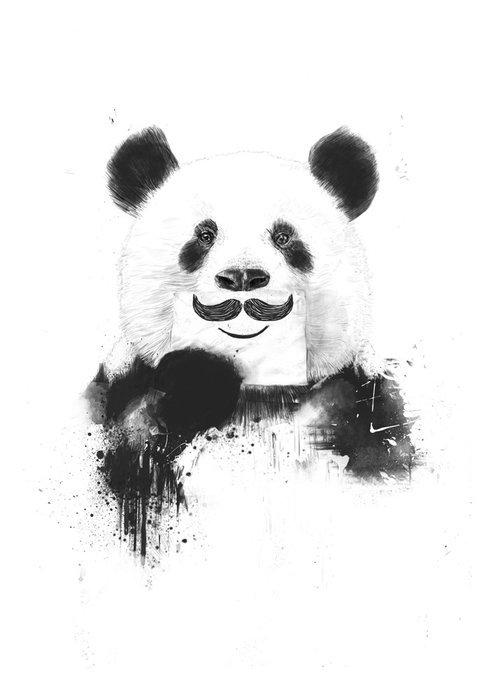 Принт «Funny Panda» by Balazs Solti