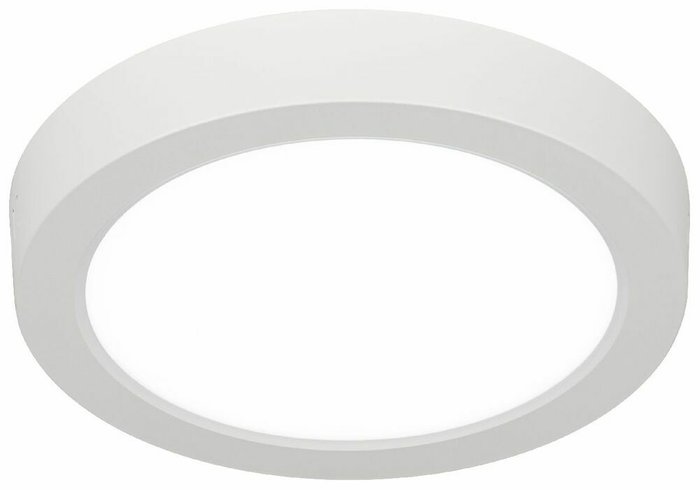 Накладной светильник LED 19 Б0057432 (пластик, цвет белый) - купить Потолочные светильники по цене 773.0