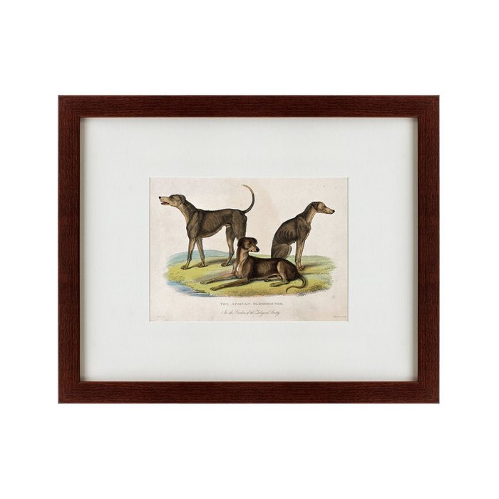 Картина Three African bloodhounds 1830 г. - купить Картины по цене 4990.0