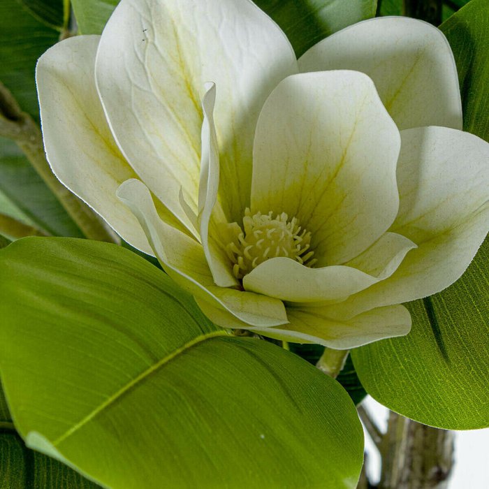 Декоративное растение Пластик Magnolia 130 cm - лучшие Декоративные цветы в INMYROOM