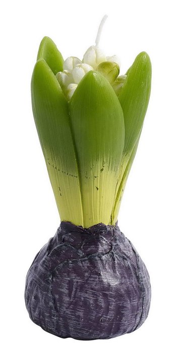 Свеча-гиацинт зеленого цвета